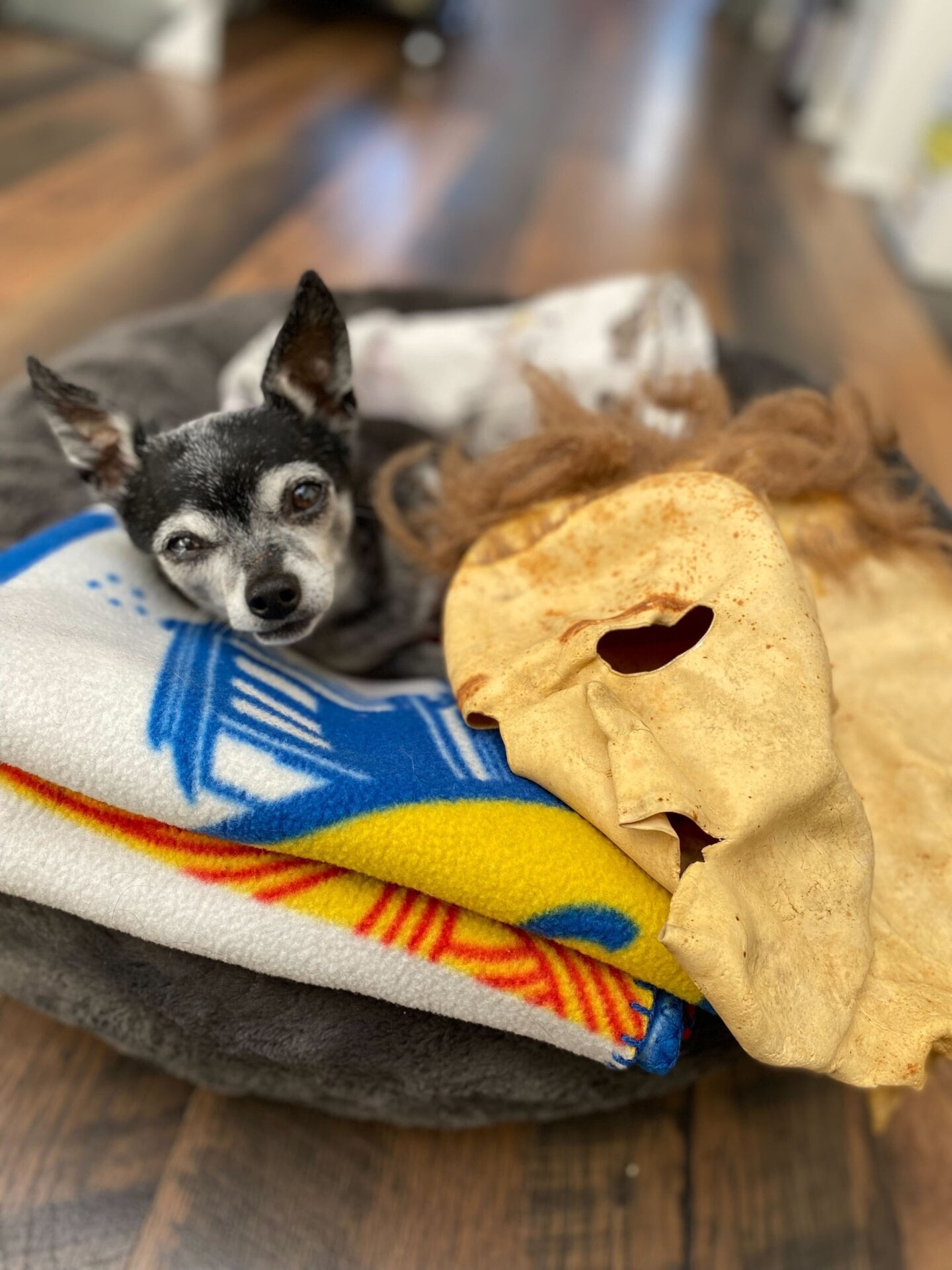 Photo: Cheryl Eddy/Gizmodo