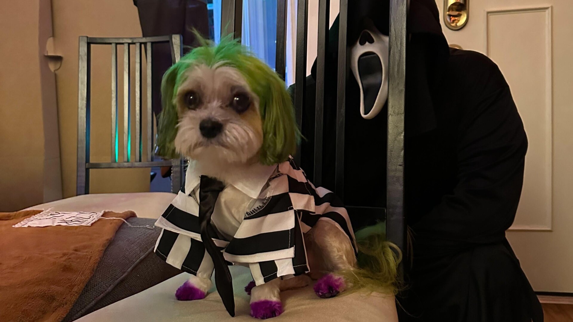 Photo: Sabina Graves/Gizmodo