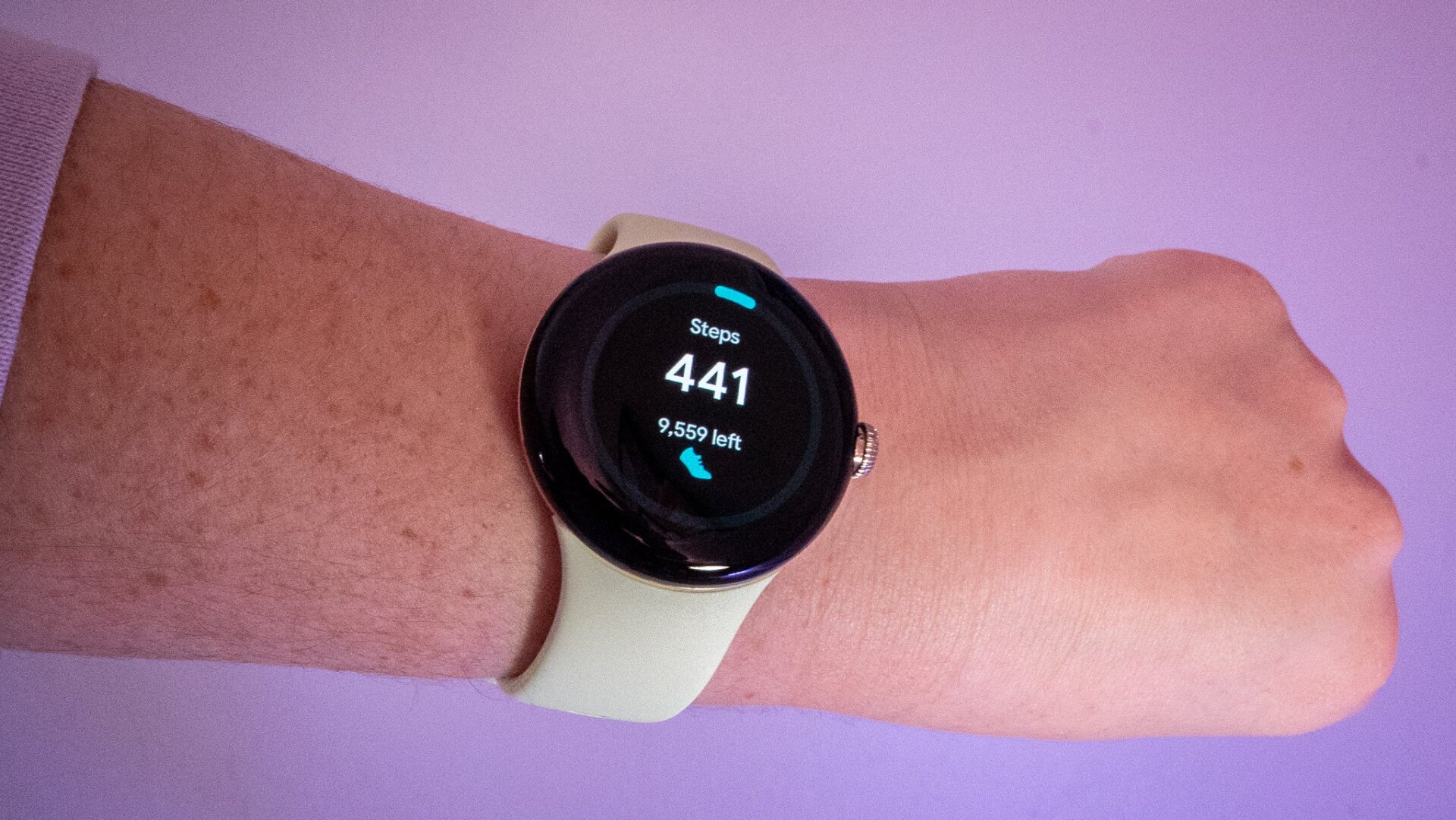 Fitbit is fine, but I was sour about having to change ecosystems for this review. 