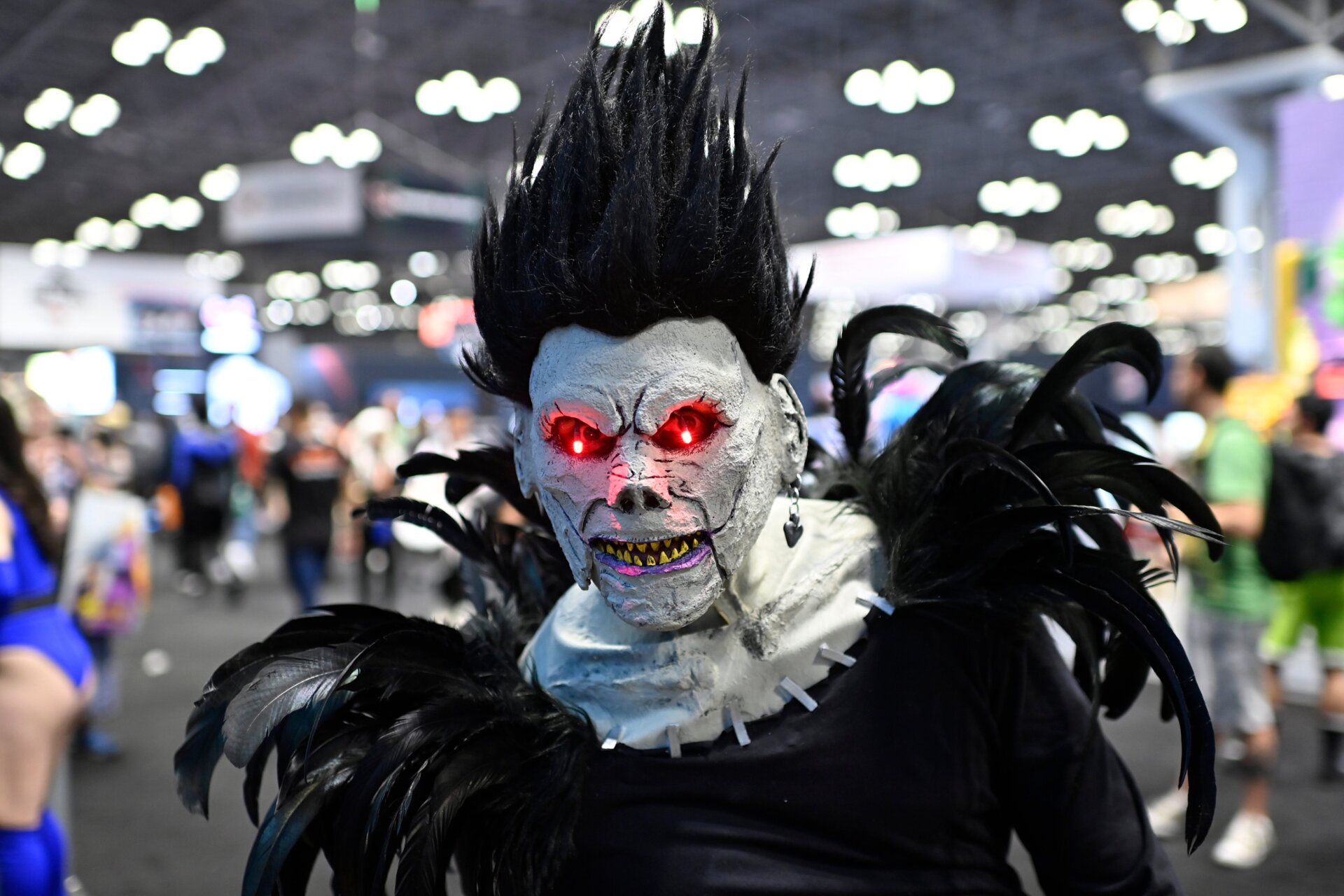 Image: Roy Rochlin/Getty Images