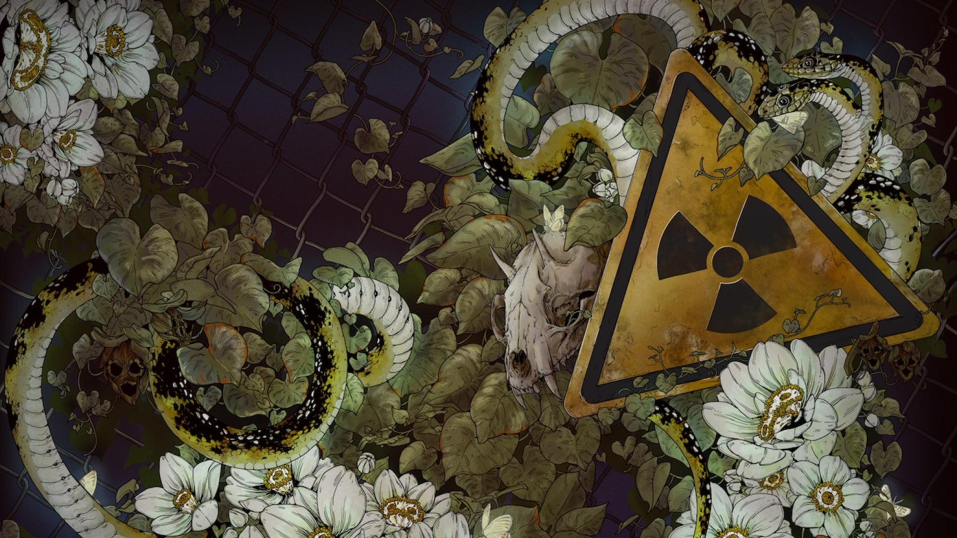 Image: Raphael D’Amico