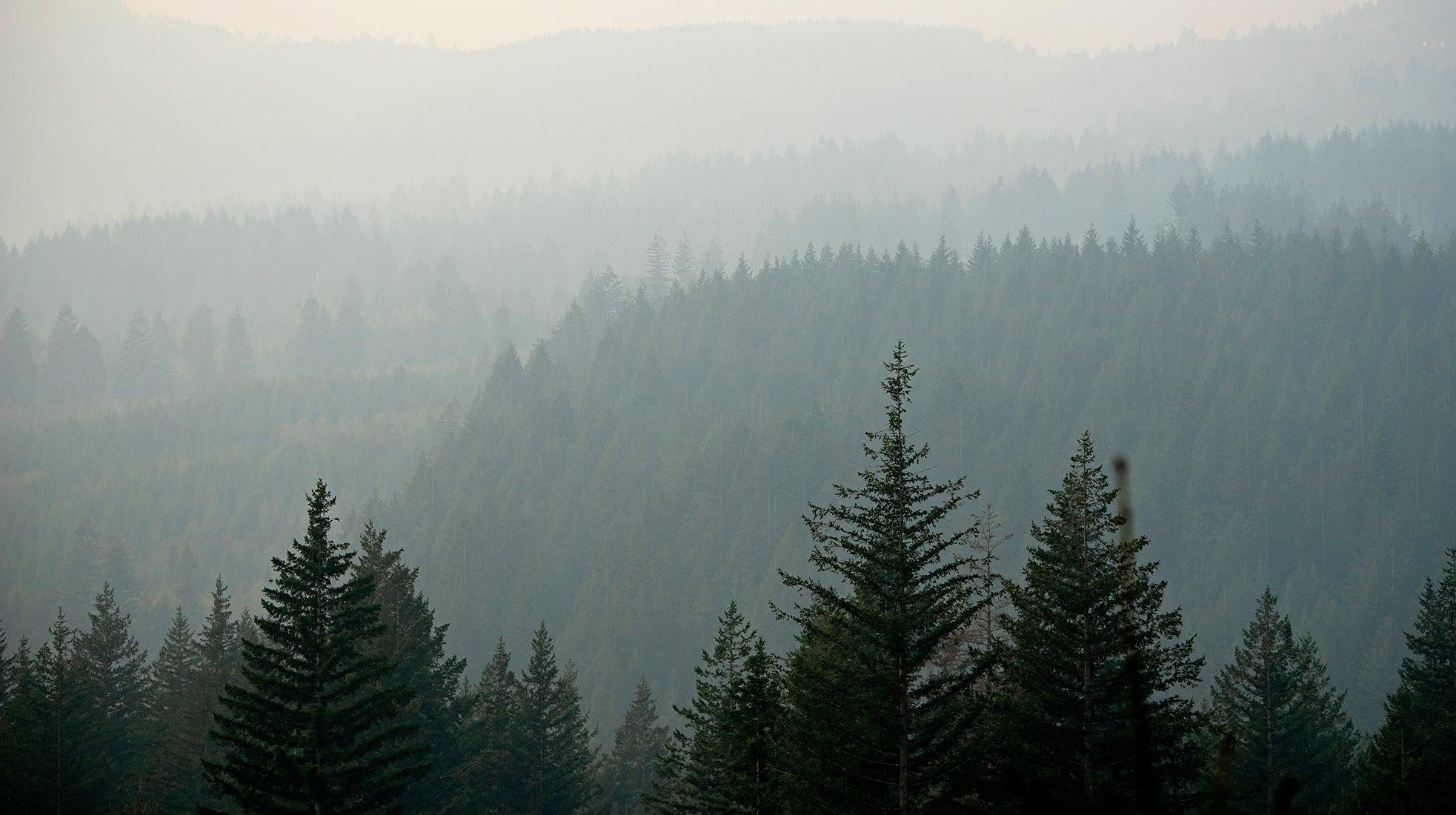 Thick smoke from the Nakia Creek Fire clogs the air, as seen from the Camas Creek Watershed near Camas, Wash., on Wednesday, Oct. 19, 2022.