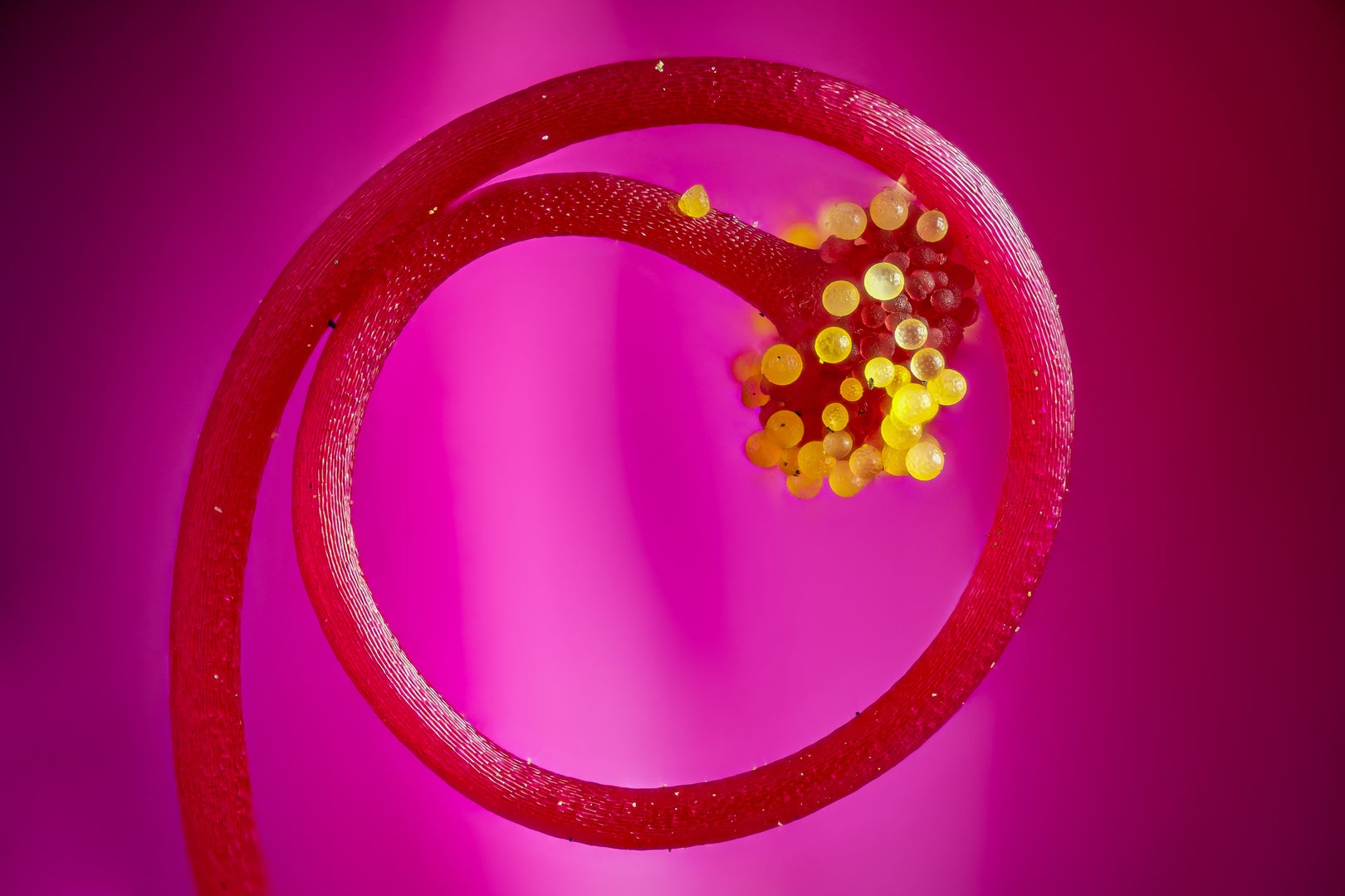 Image: Gabriel Fernández/Fernández Jorge Alberto