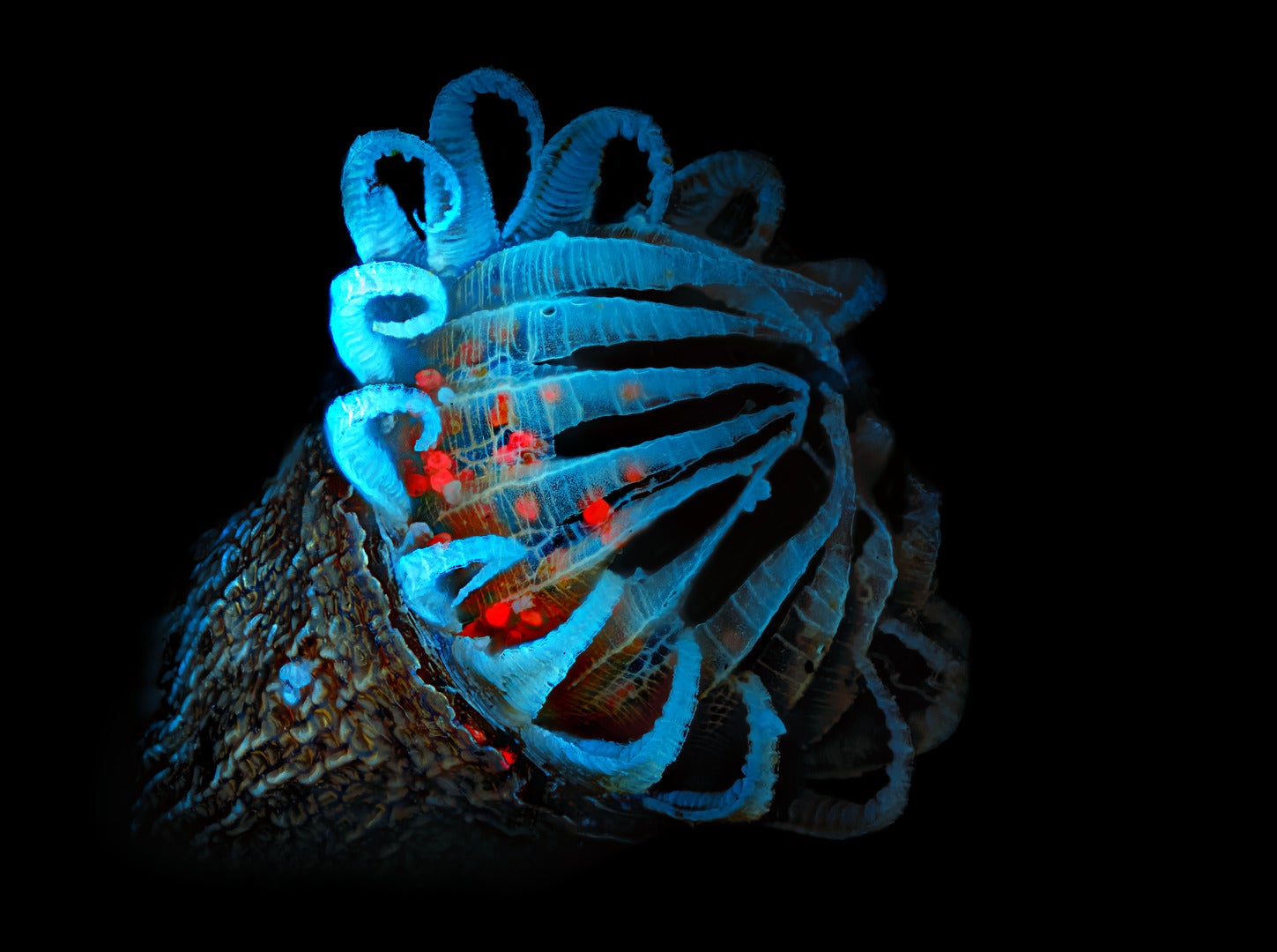 Image: Michael Landgrebe