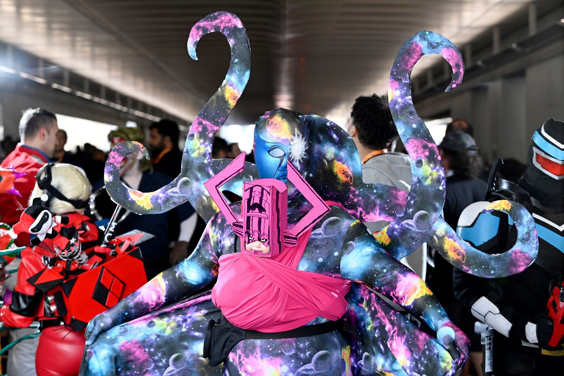 Image: Roy Rochlin/Getty Images