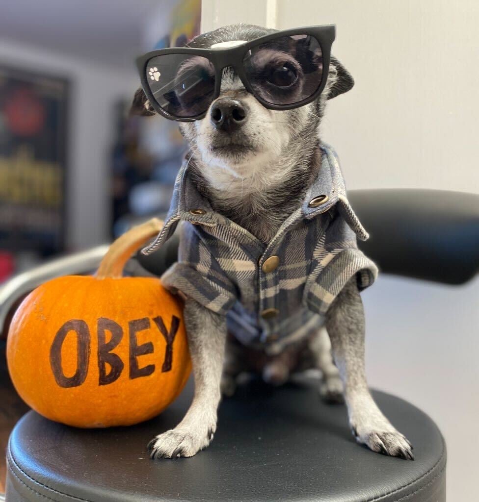 Photo: Cheryl Eddy/Gizmodo