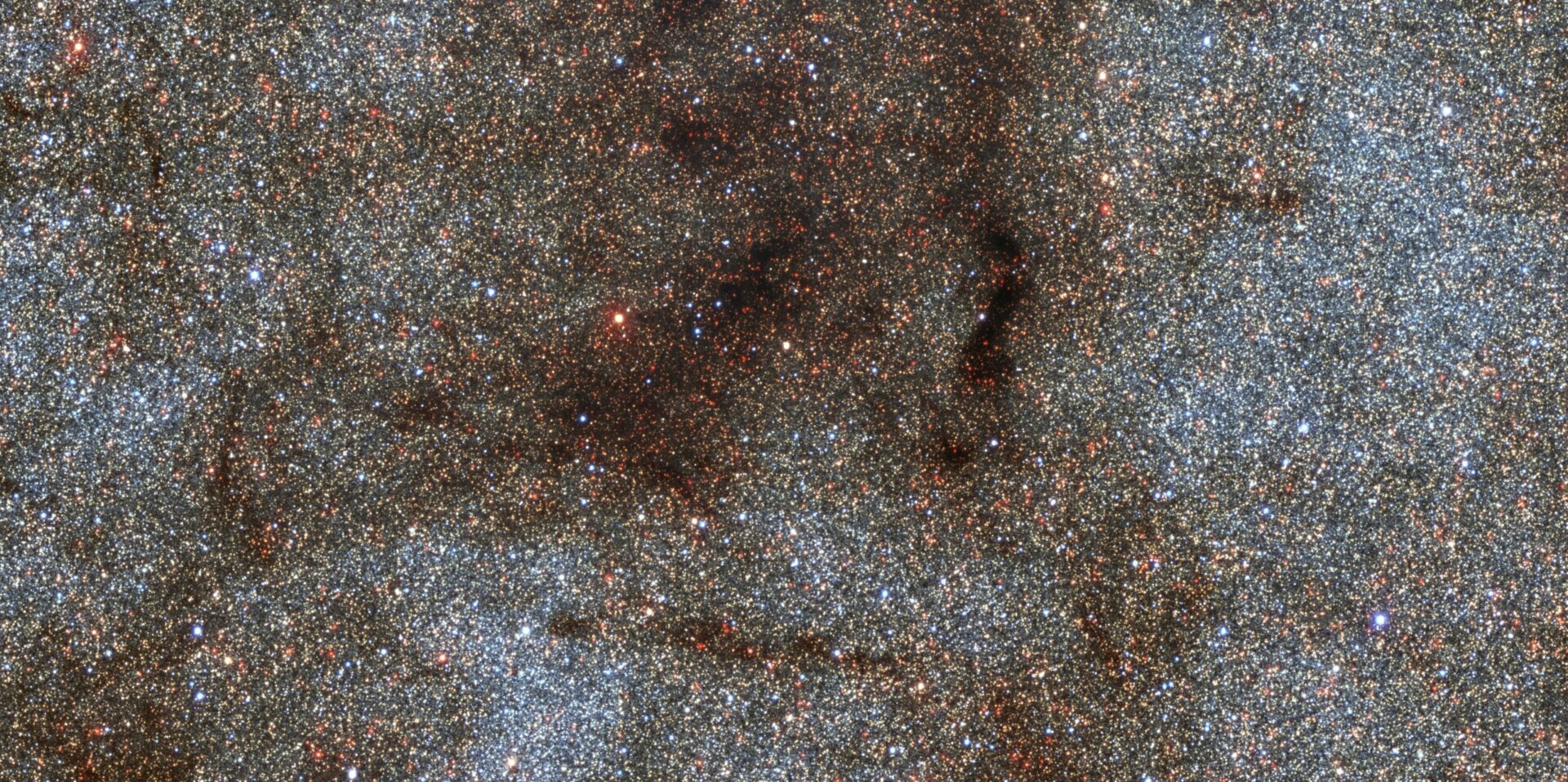 Thousands of stars in a Dark Energy Camera deep field.