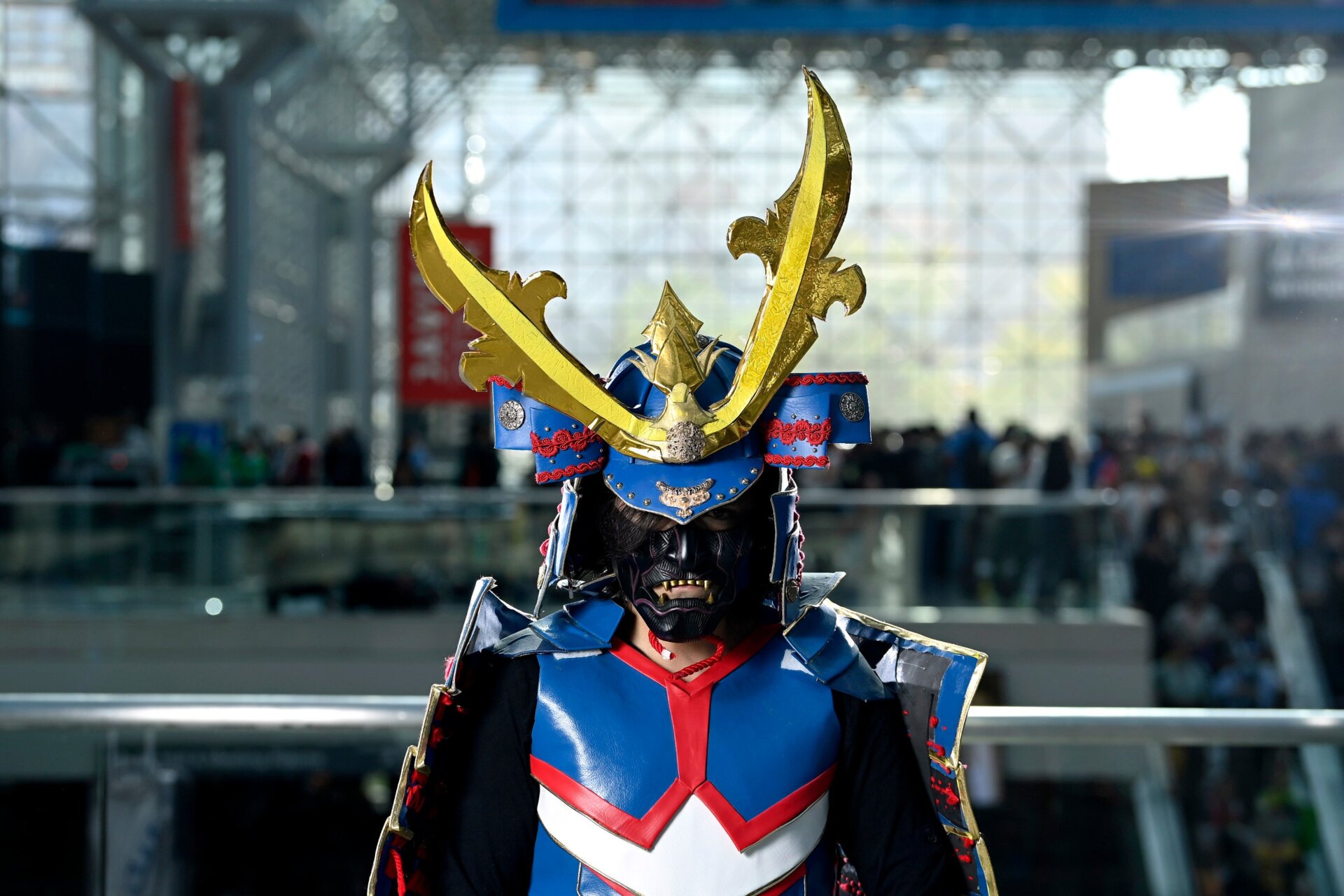 Image: Roy Rochlin/Getty Images