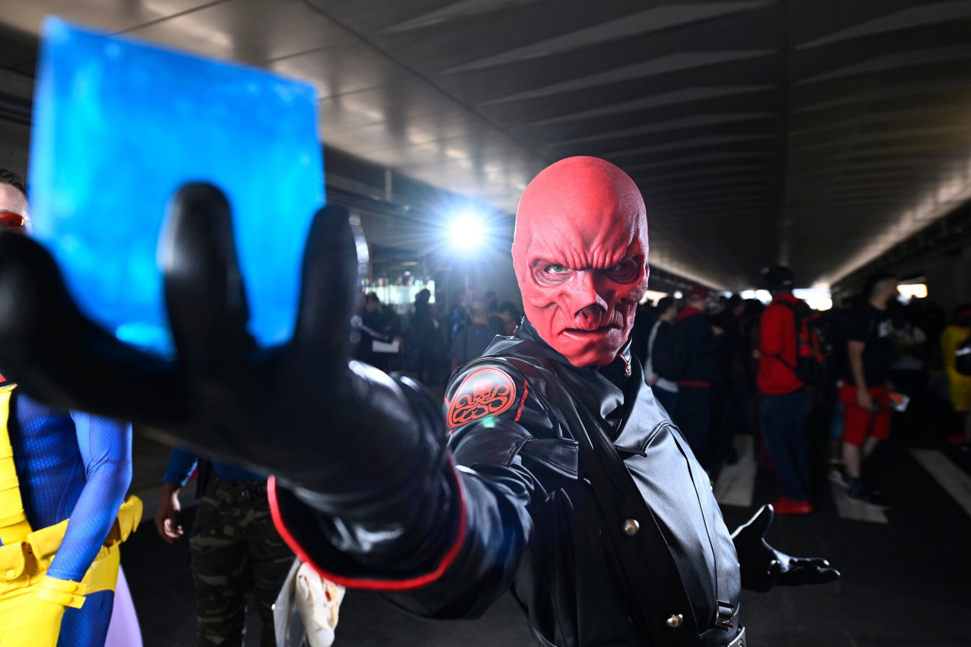 Image: Roy Rochlin/Getty Images