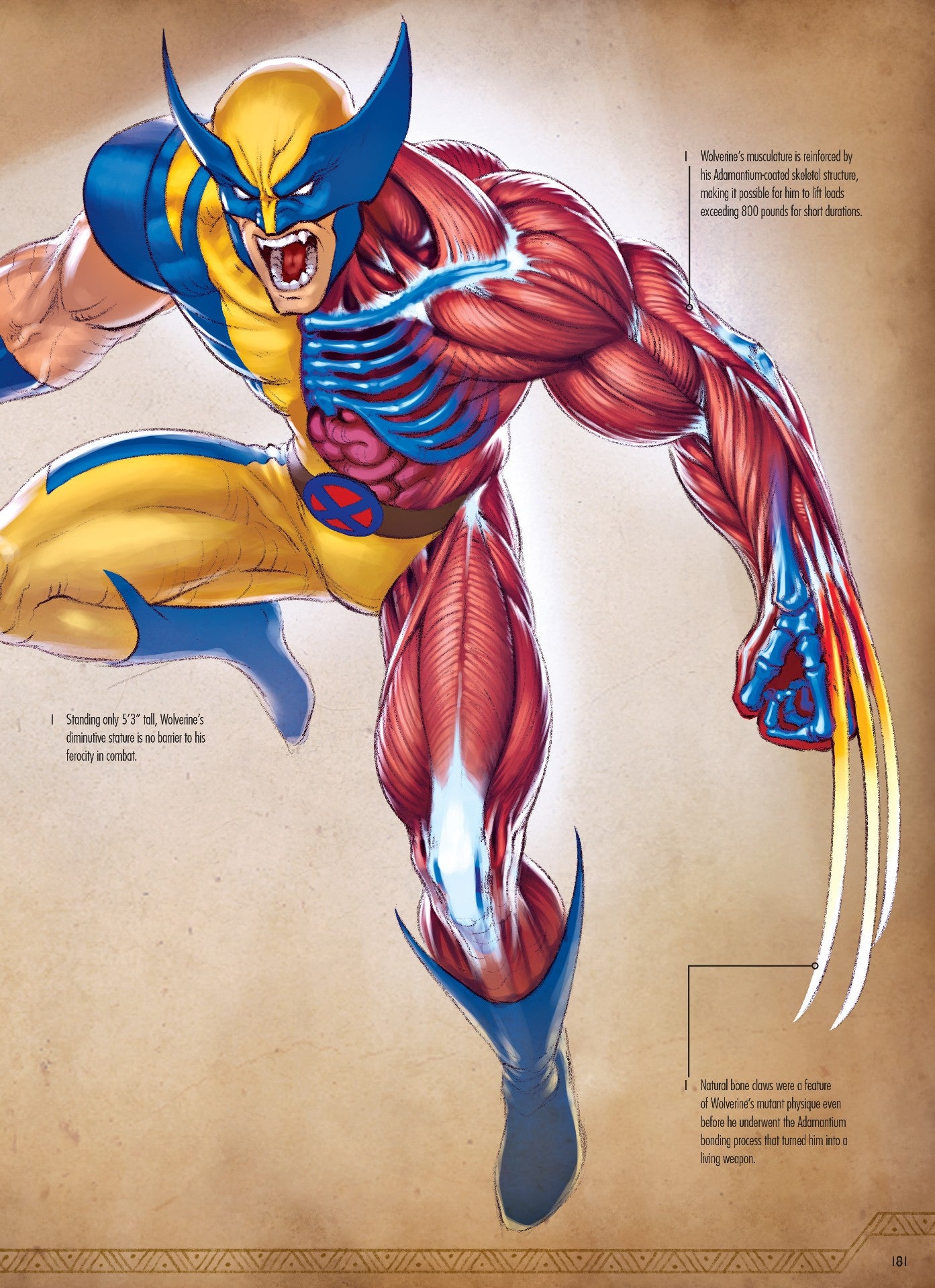 Image: Jonah Lobe/Marvel/Insight