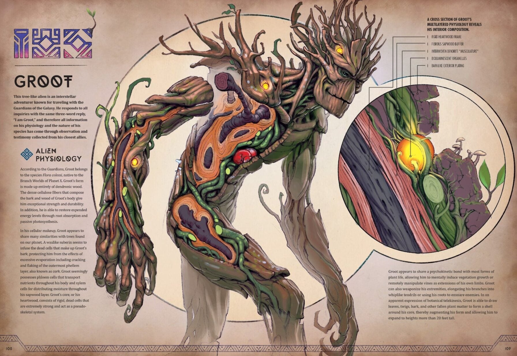 Peek Inside Your Favorite Marvel Characters | Page 8 of 10