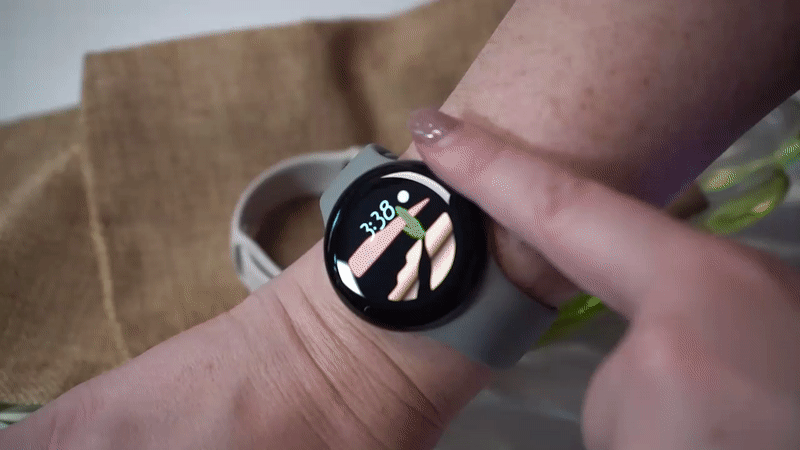 Gif: Florence Ion / Gizmodo