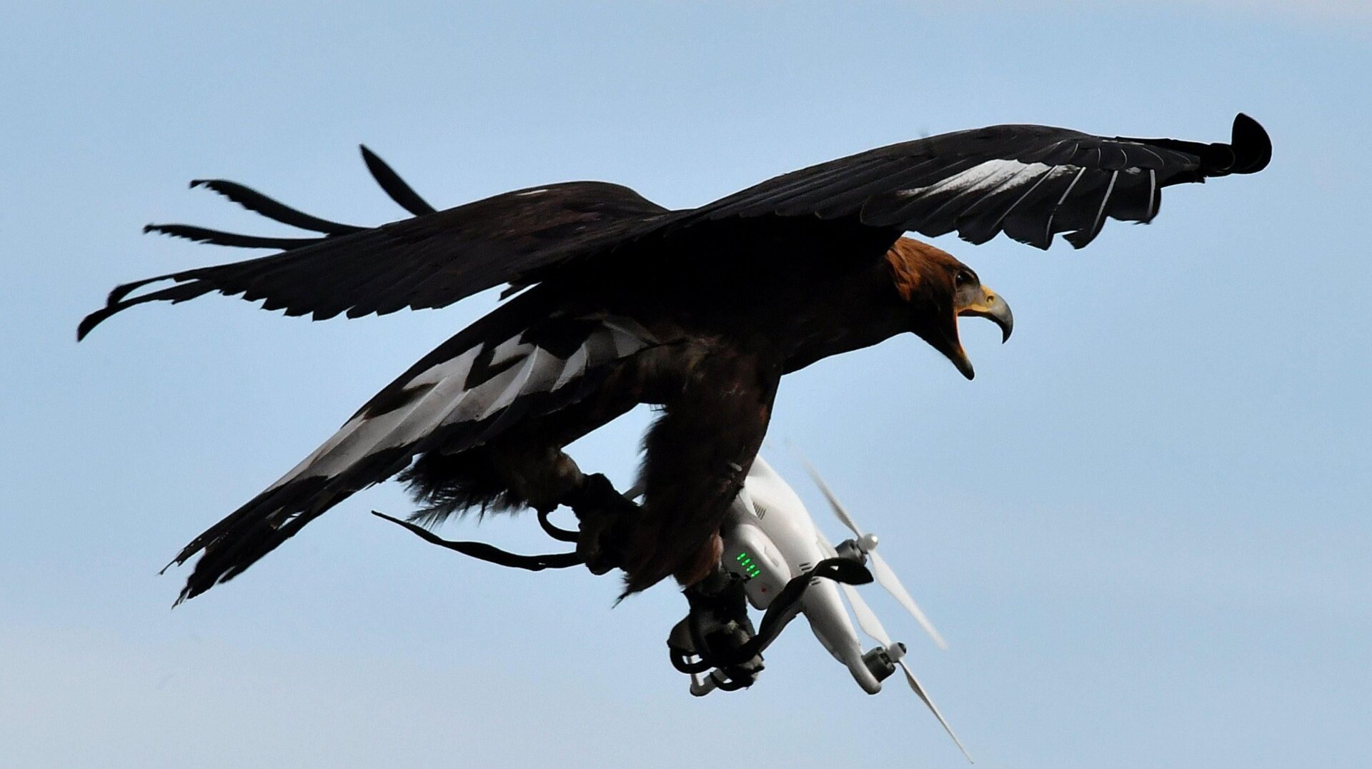 Photo: Georges Gobet