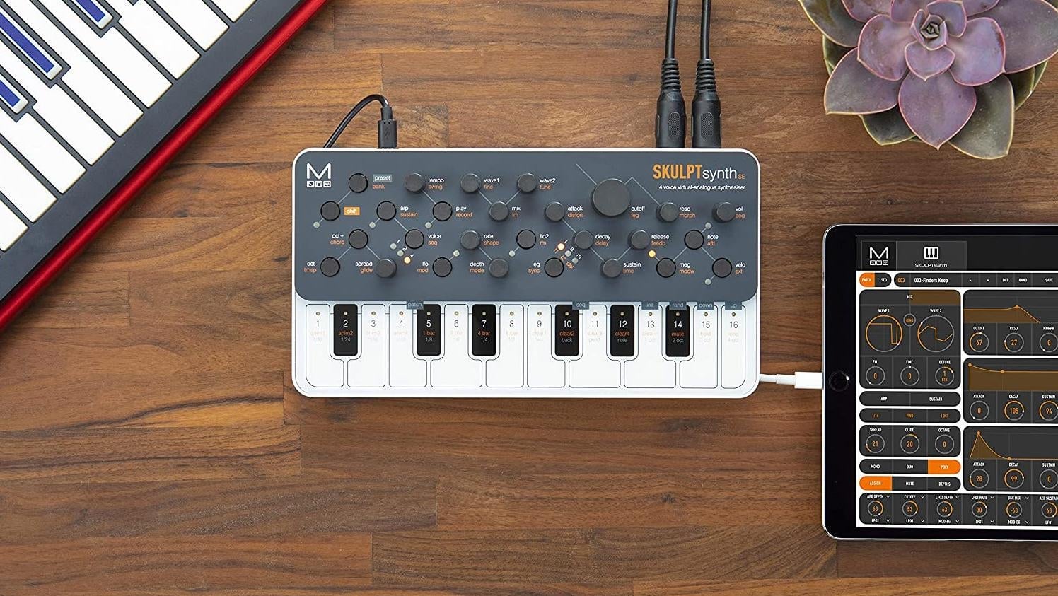 Photo: Modal Electronics