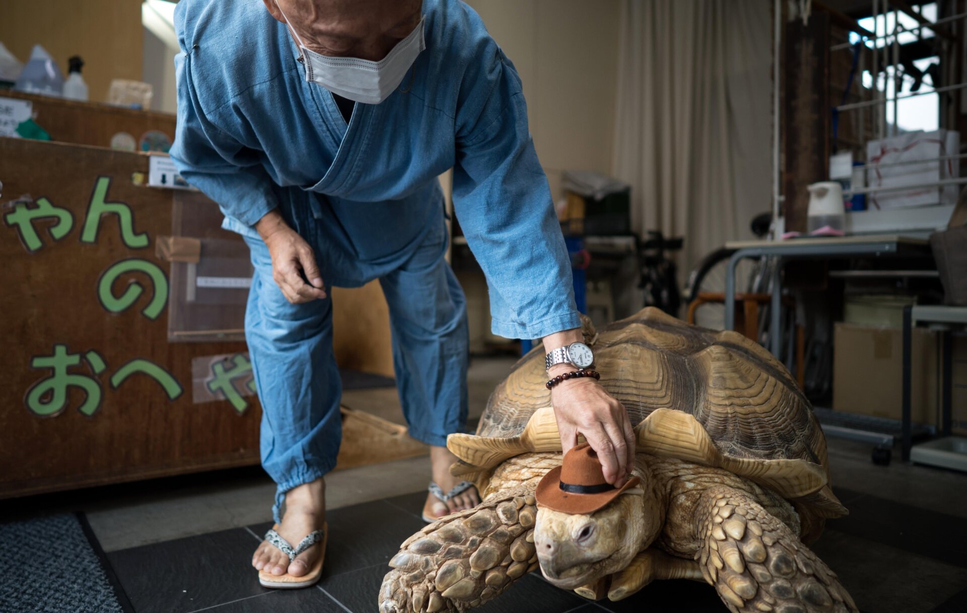 Photo: Tomohiro Ohsumi