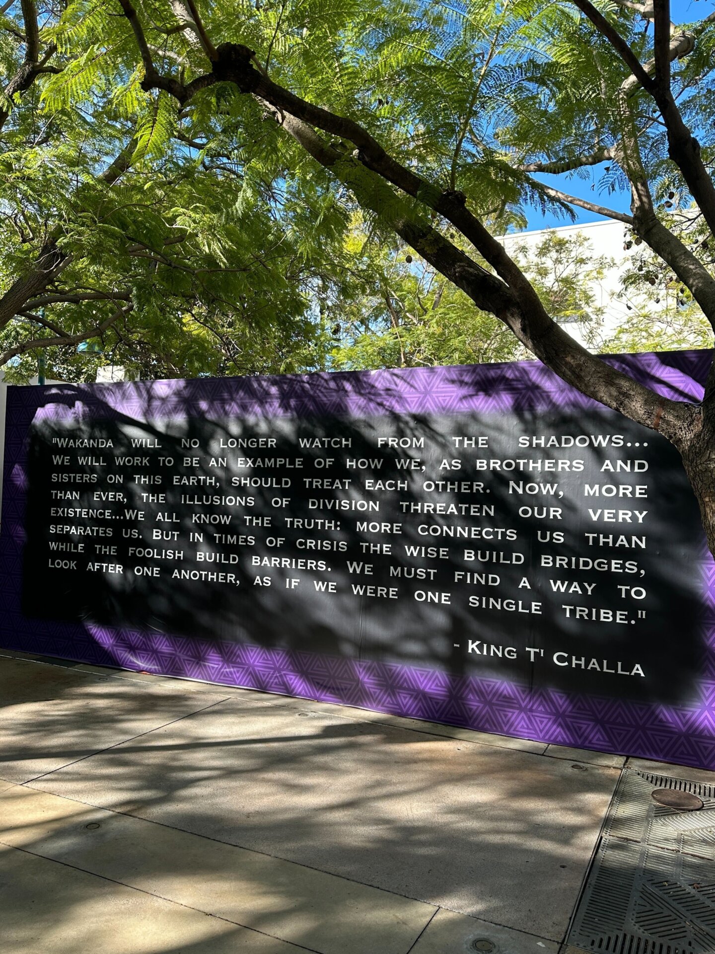 Photo: Sabina Graves/Gizmodo
