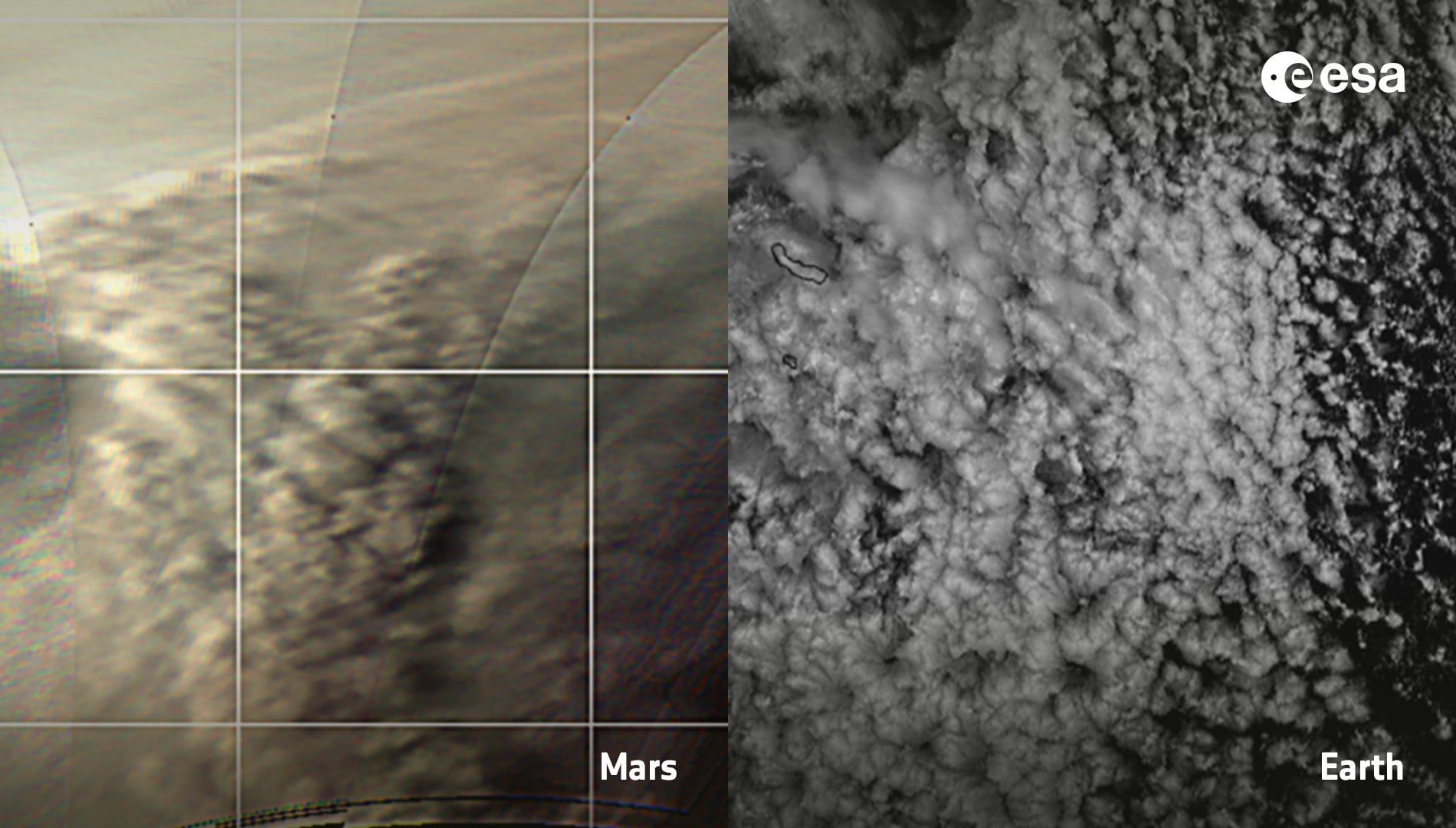 Cloud cells on Mars and Earth show similar patterns.