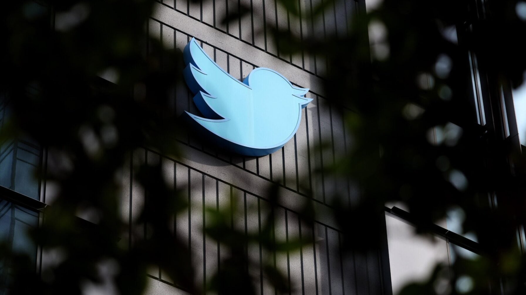 Welp, There Goes Twitter's Ethical AI Team, Among Others as Employees ...