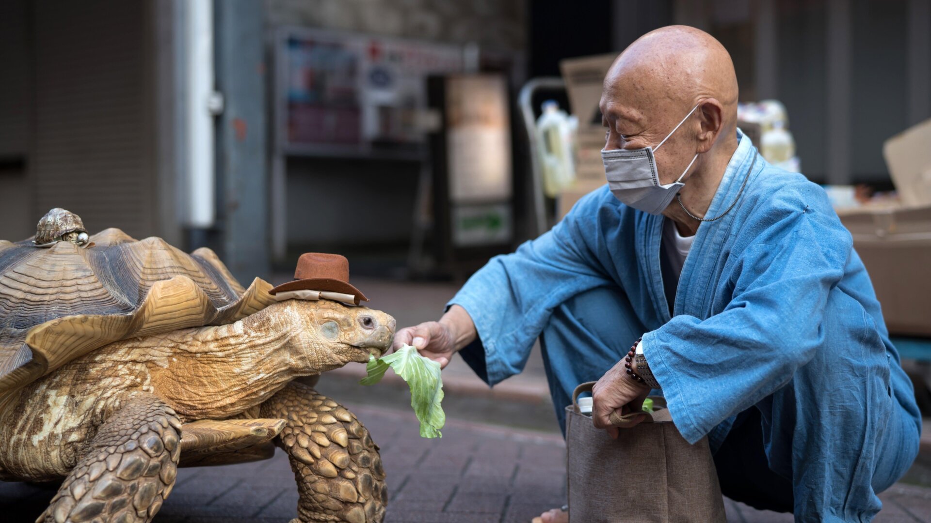 Photo: Tomohiro Ohsumi