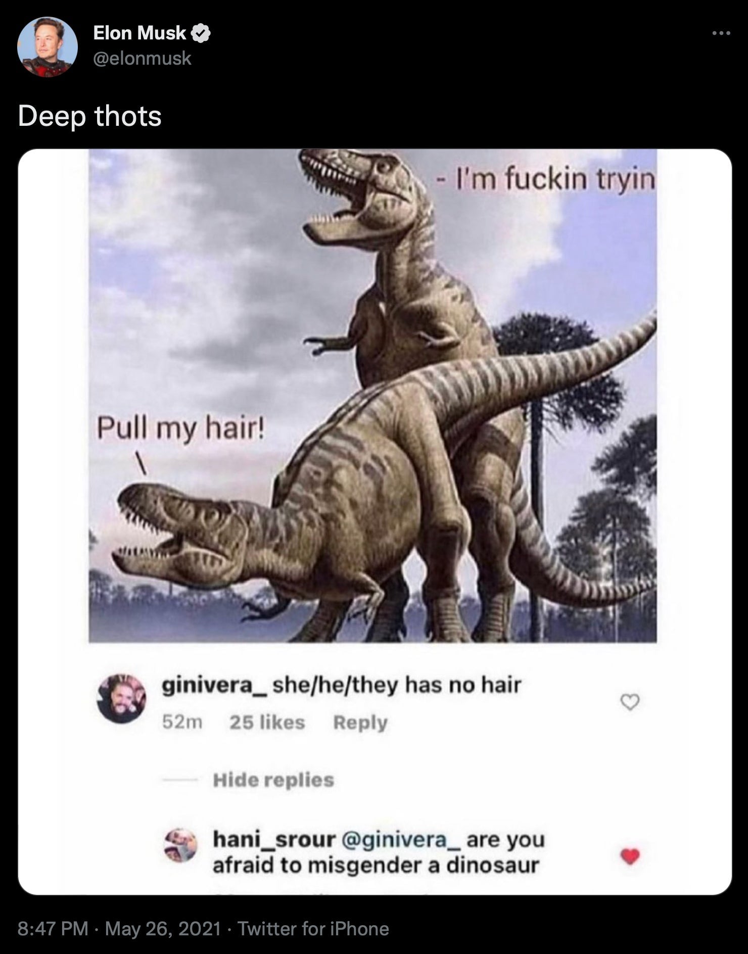 Screenshot: Jody Serrano / Gizmodo / @elonmusk