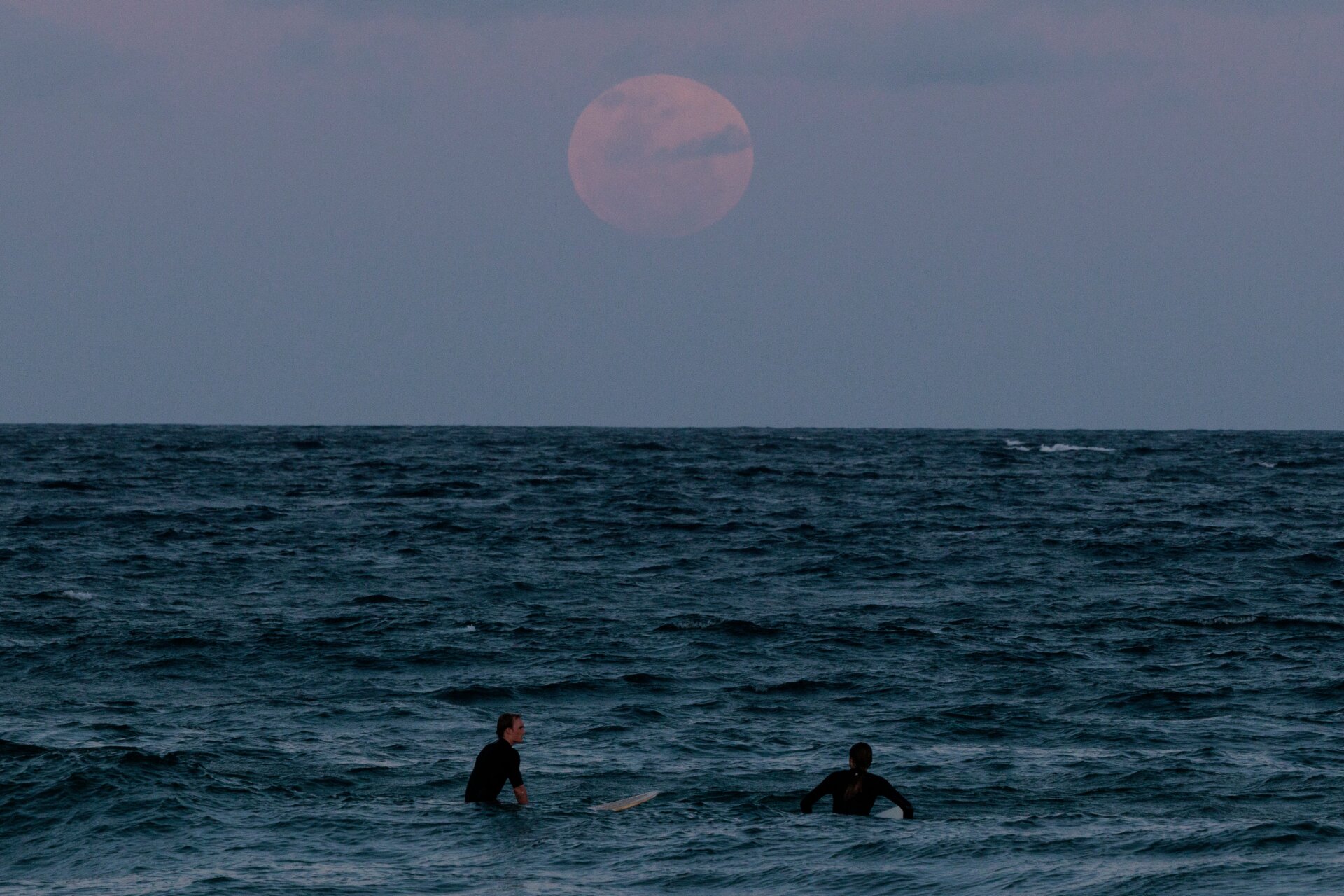 Image: Brook Mitchell