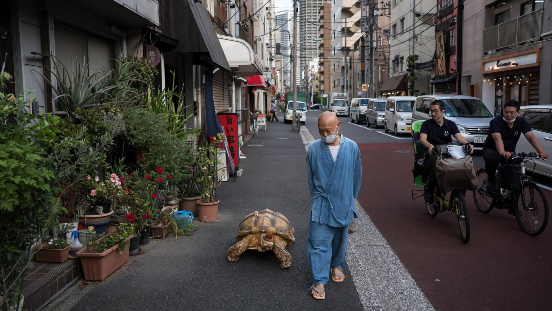 Photo: Tomohiro Ohsumi