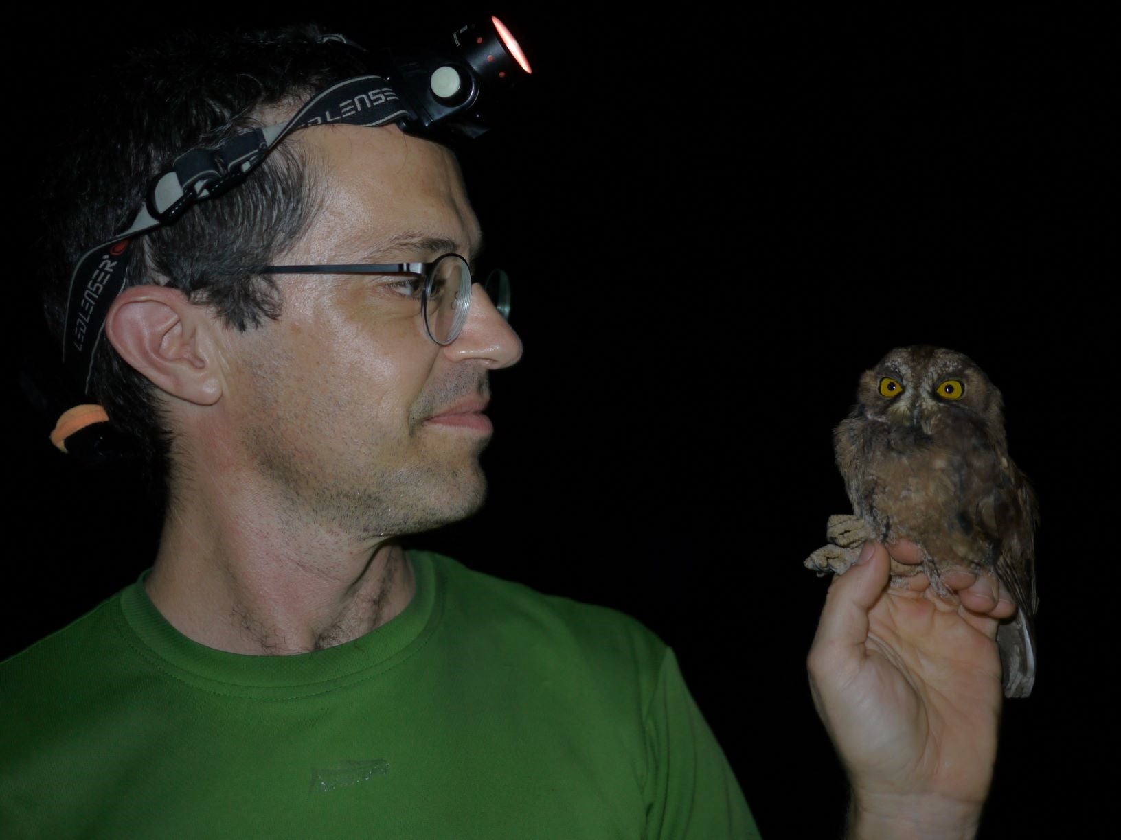 Researcher Martim Melo holding one of the newly described owls.