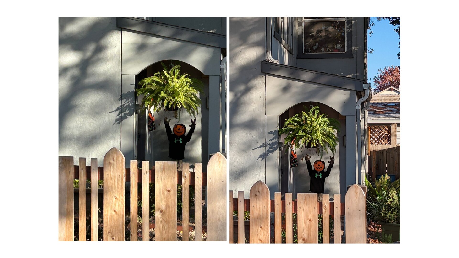 Photo: Florence Ion / Gizmodo