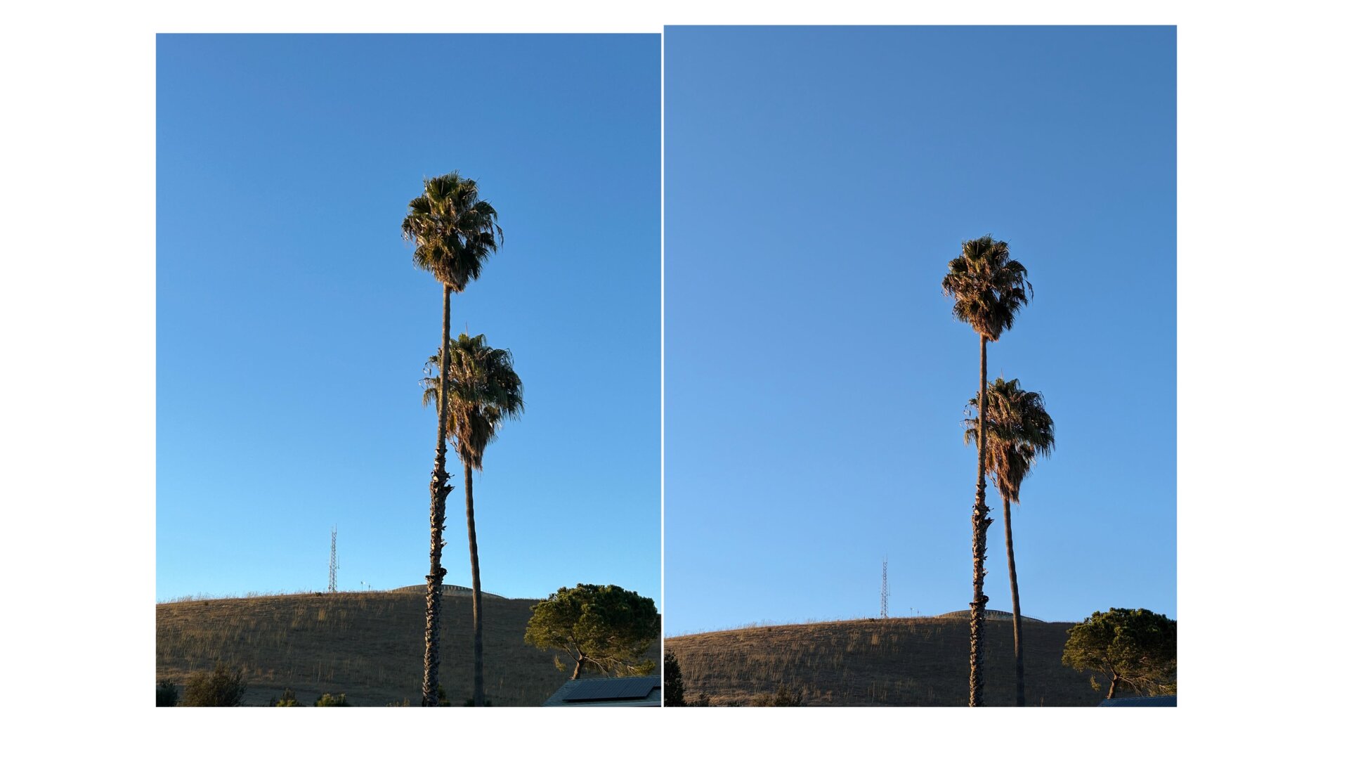 Image: Florence Ion / Gizmodo