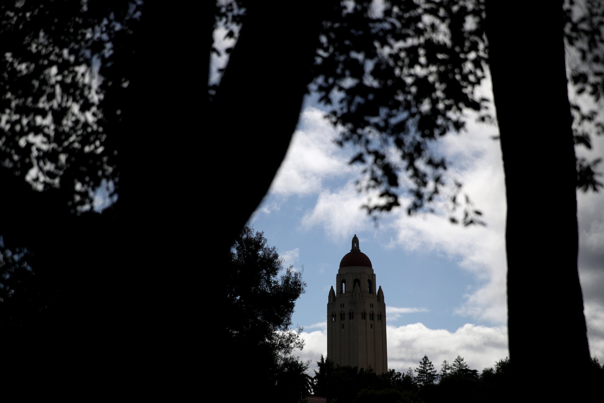 A view of Stanford University campus through the trees.