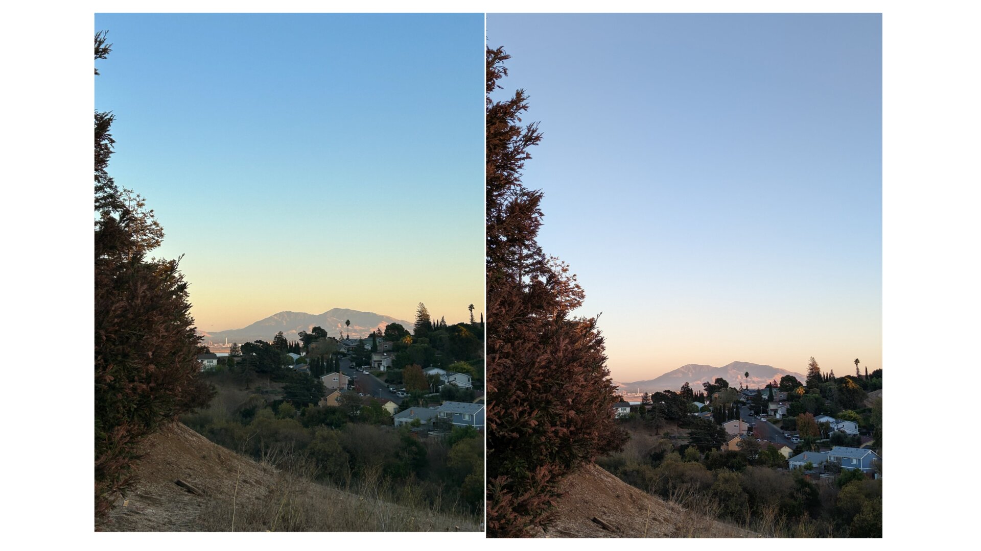 Image: Florence Ion / Gizmodo