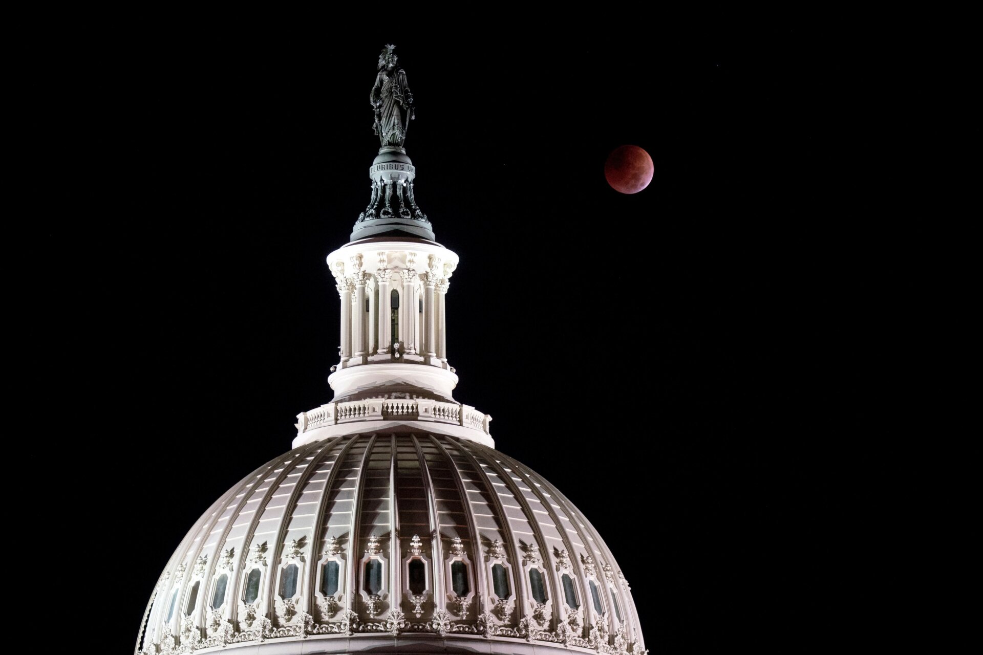 Image: Stefani Reynolds