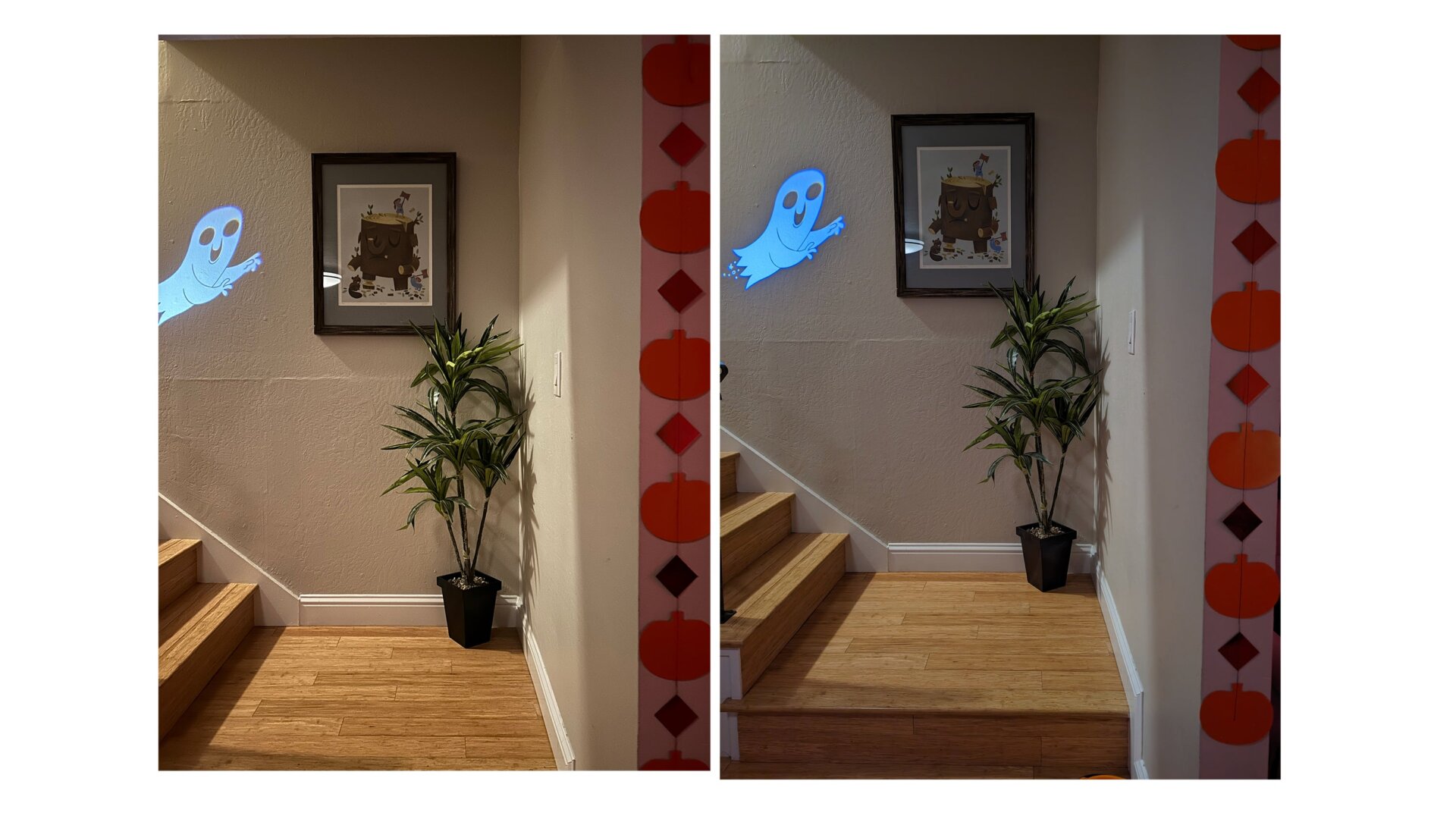 Image: Florence Ion / Gizmodo