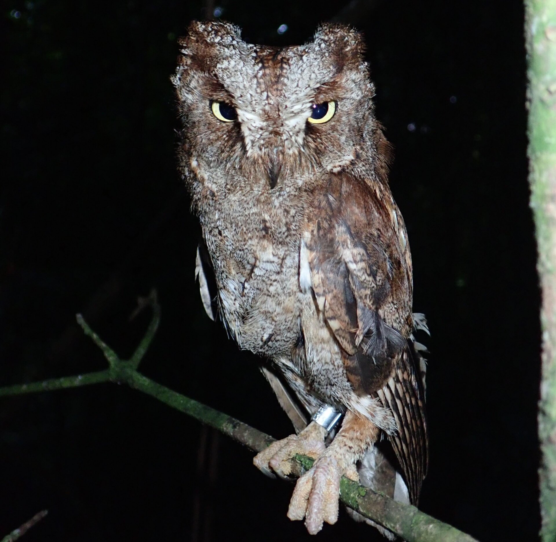 Photo: c/o Martim Melo