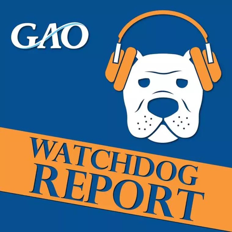 Image: GAO