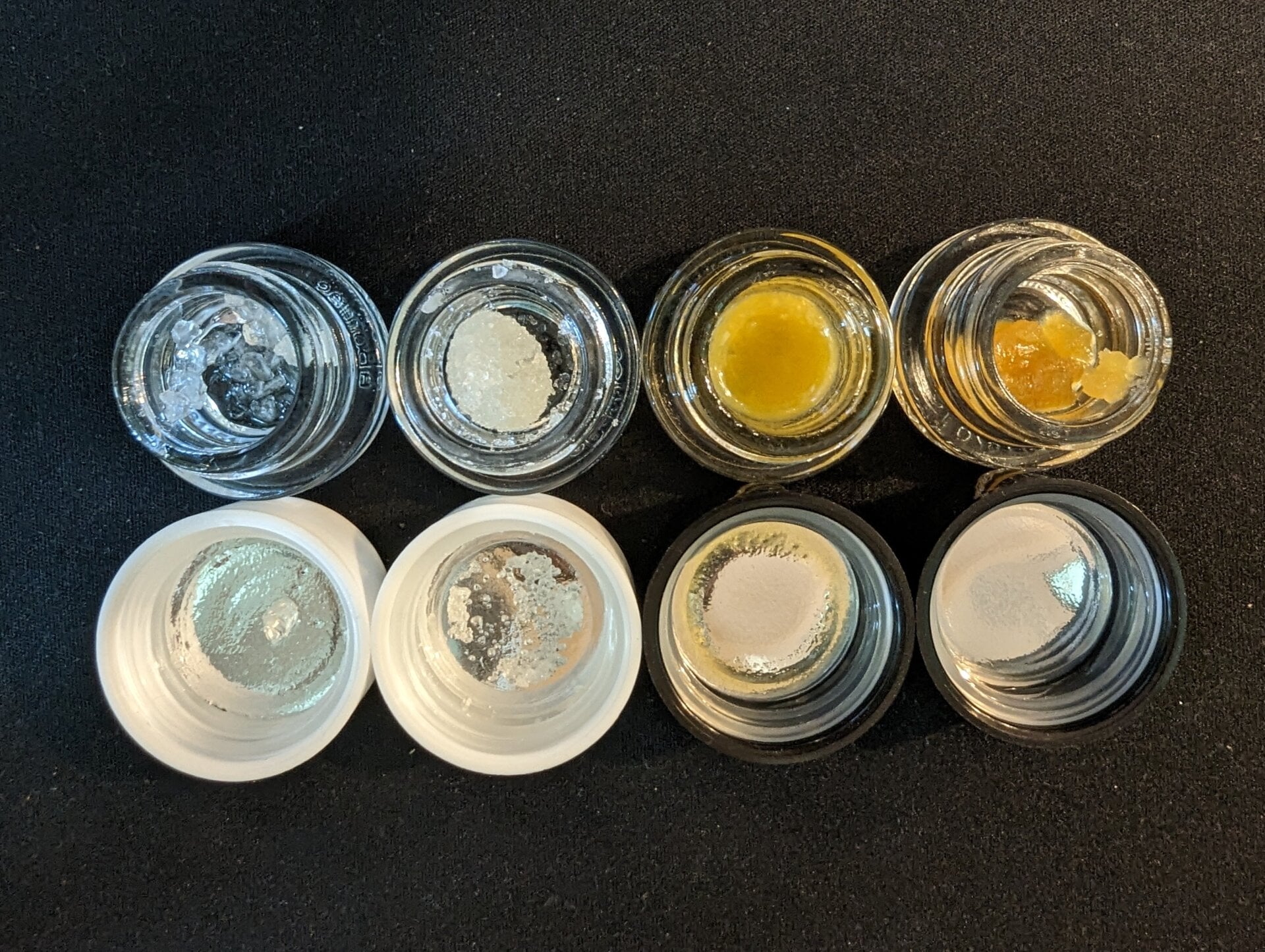 Photo: Brent Rose (Gizmodo)