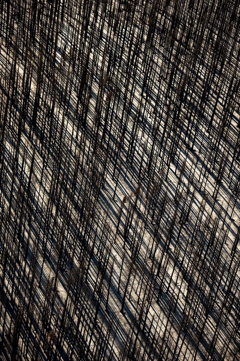 Photo: Jassen Todorov/TNC Photo Contest