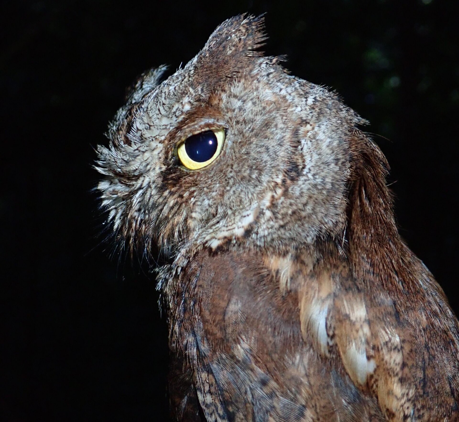 Photo: c/o Martim Melo