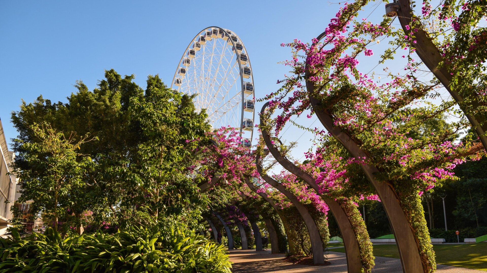 The subreddit r/brisbane is using its Community Funds money to create a gallery exhibition on everything related to Brisbane, Australia.