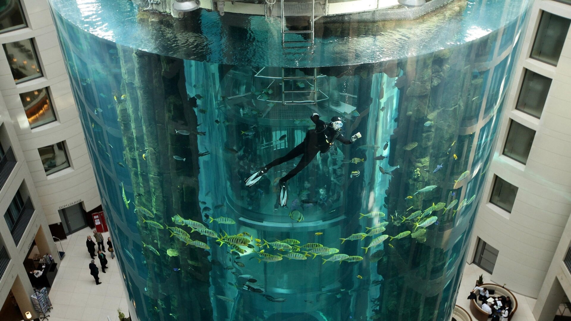 The AquaDom Aquarium in Berlin, Germany.