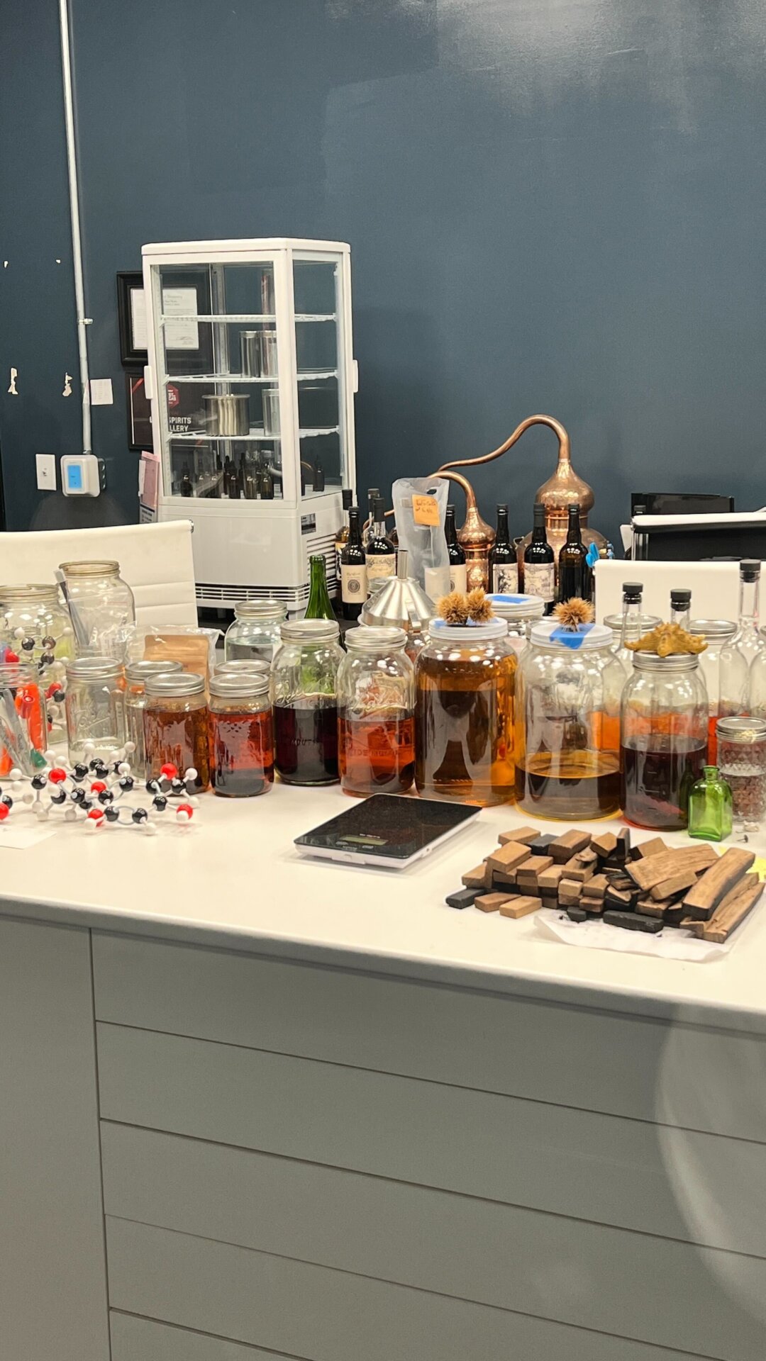 Photo: Sabina Graves/Gizmodo