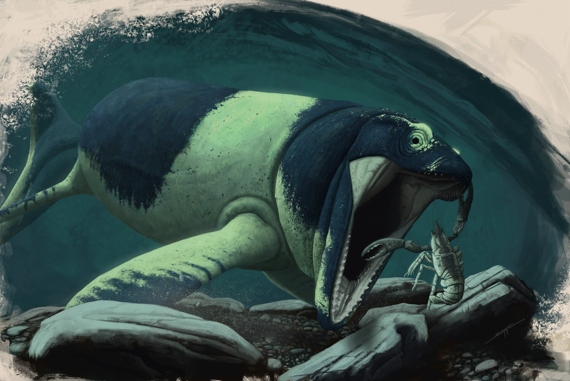 Paleoart representing the mosasaur Latoplatecarpus