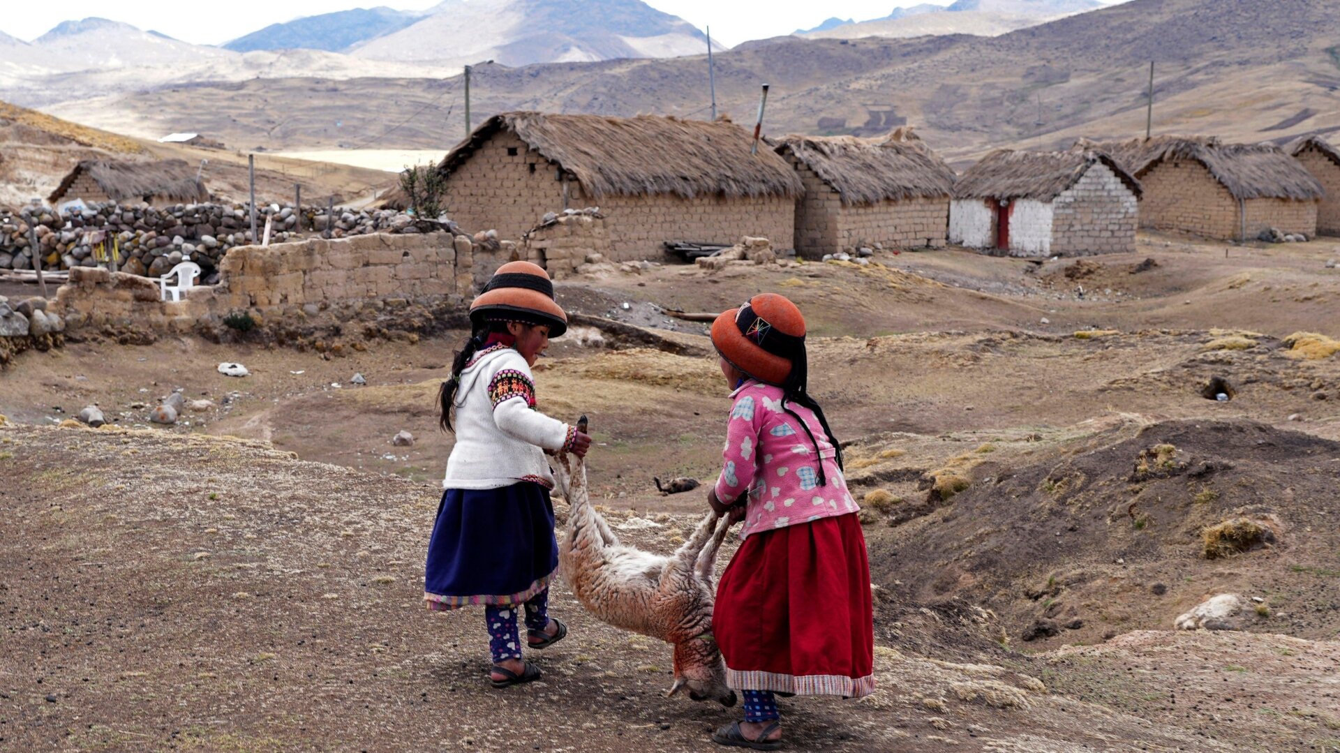 Girls carry the body of a dying sheep in the community near the Cconchaccota lagoon in the Apurimac region of Peru.