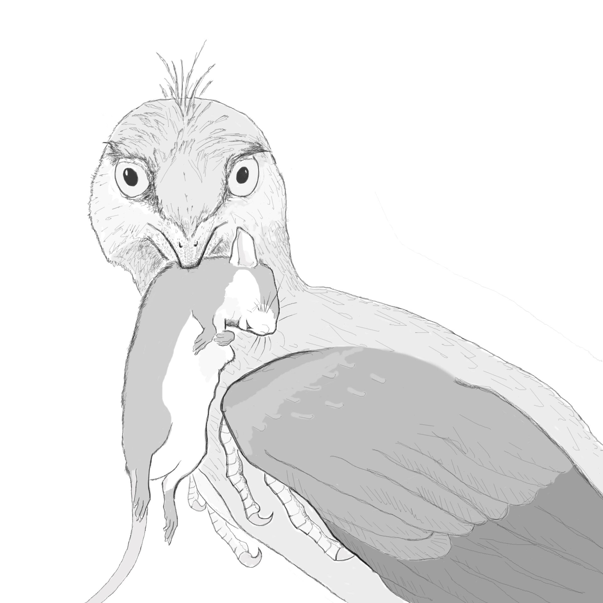 Another illustration of Microraptor with its prey.