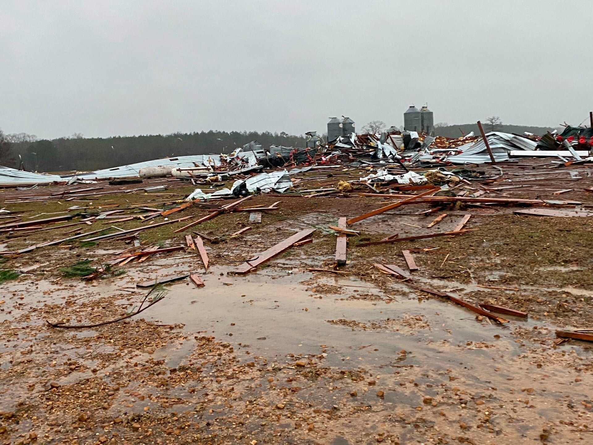 A destroyed chicken farm in Pelahatchi, Mississippi.