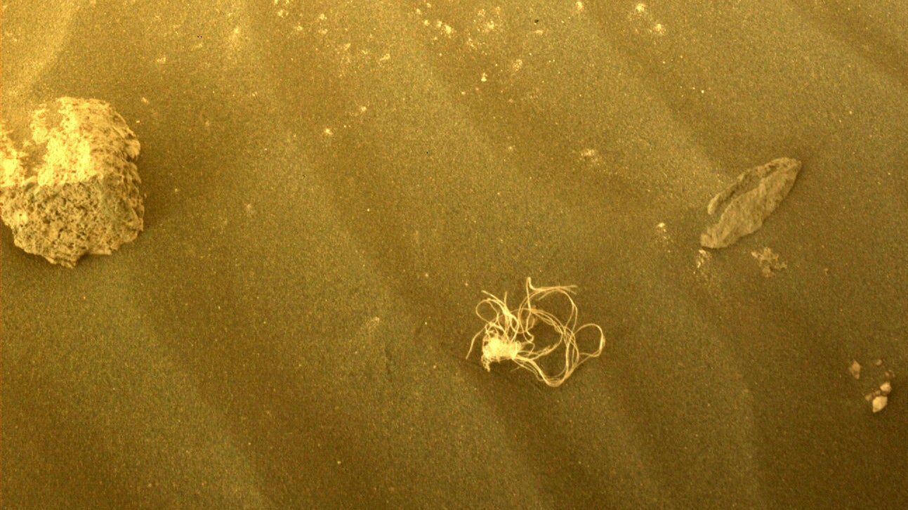 Human trash on Mars, or the progeny of the Flying Spaghetti Monster?