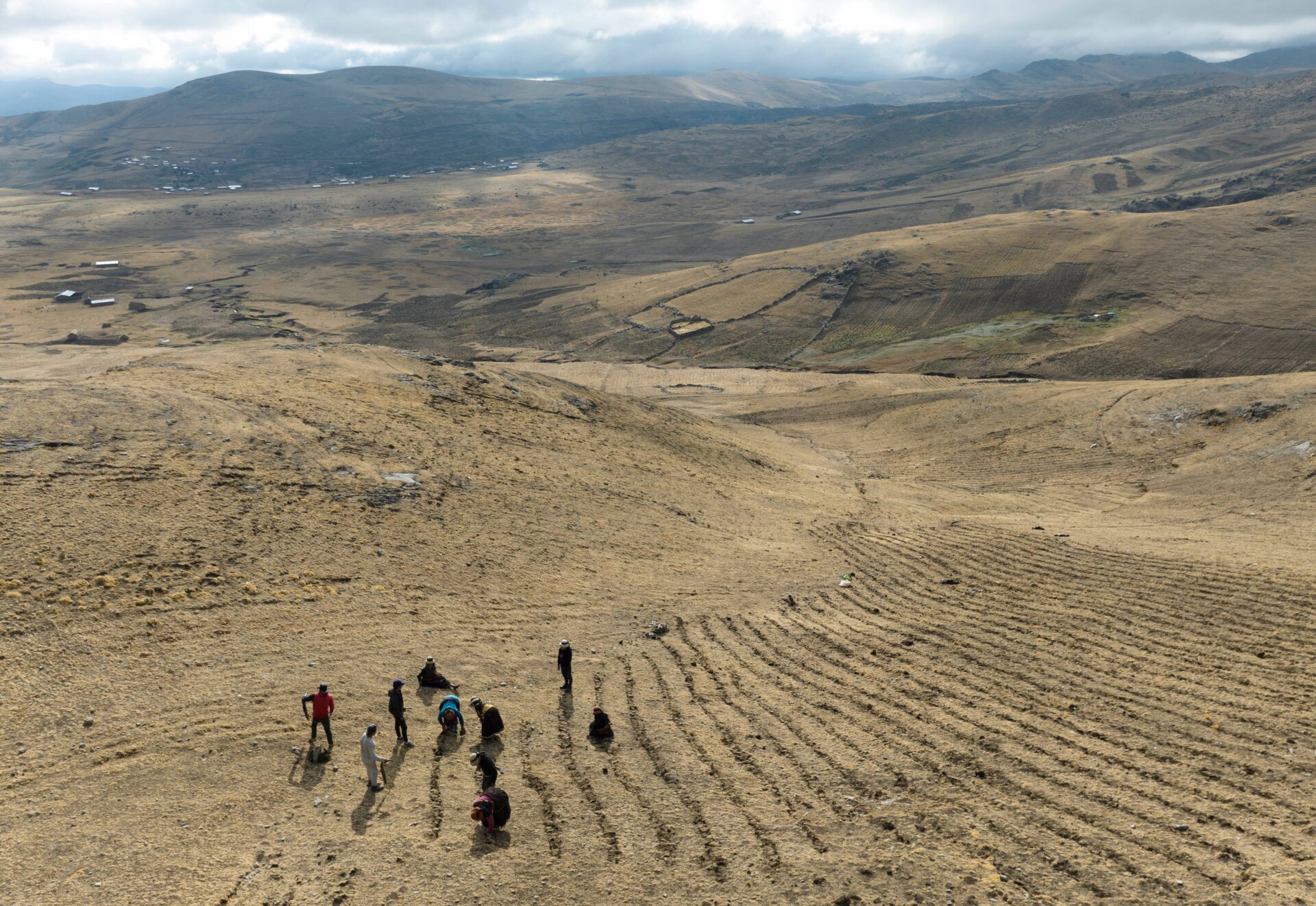 Residents harvest potatoes in a field near the Cconchaccota lagoon.