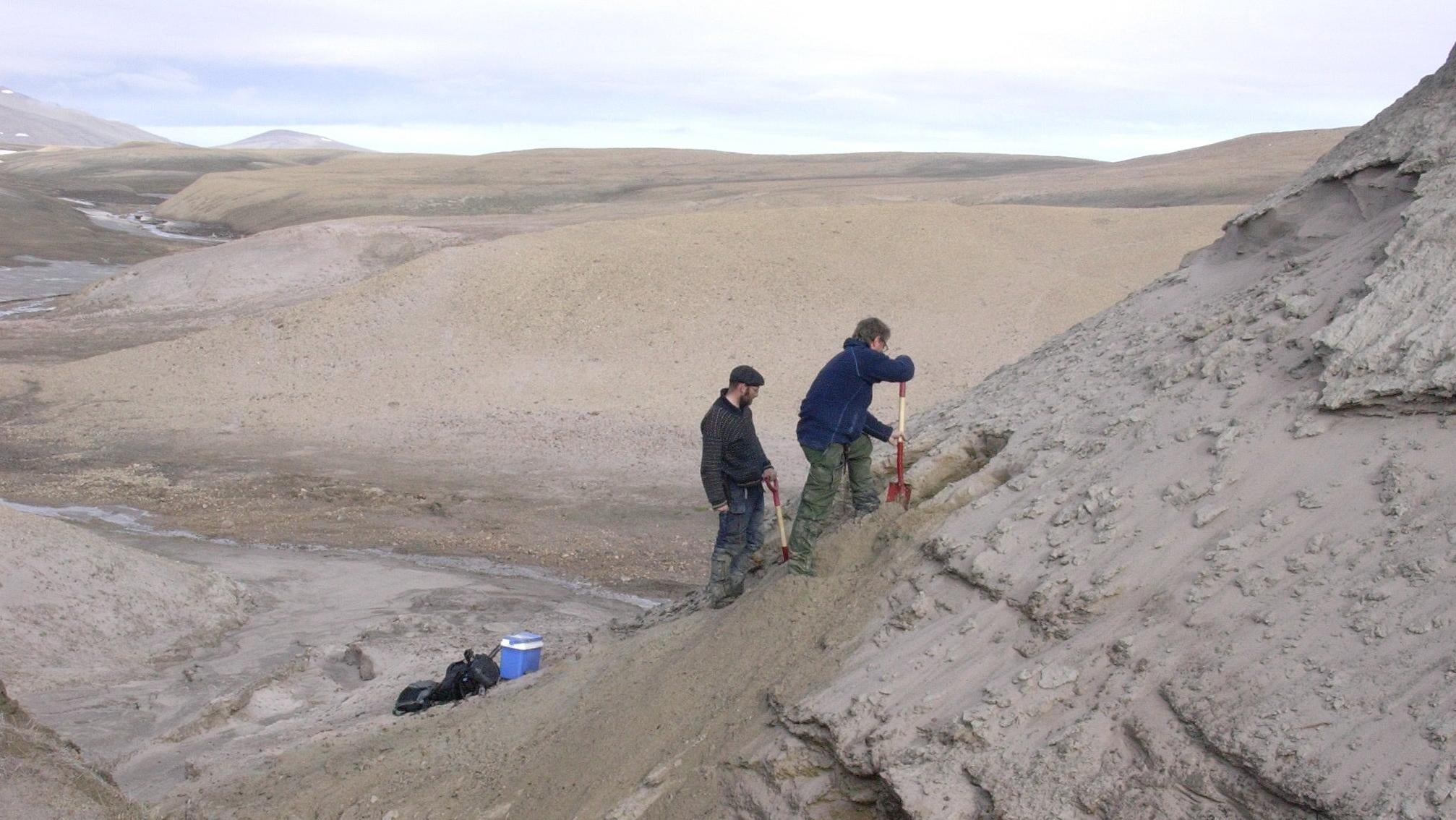 Study co-authors Eske Willerslev and Kurt H. Kjær exposing new sediment layers.