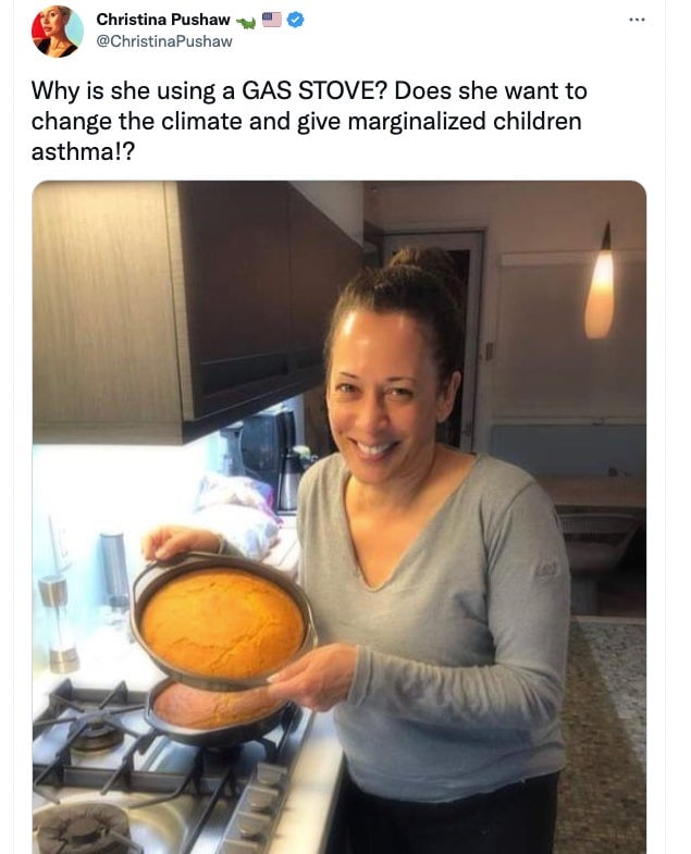 Gov. DeSantis’ press secretary will not be silent in the face of stove oppression.