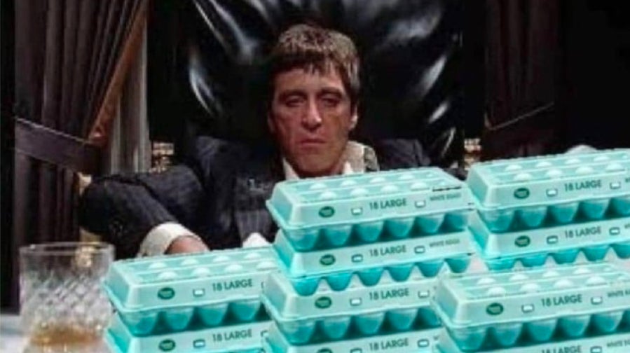 Screenshot: @seto__kaibaa / Twitter / Gizmodo